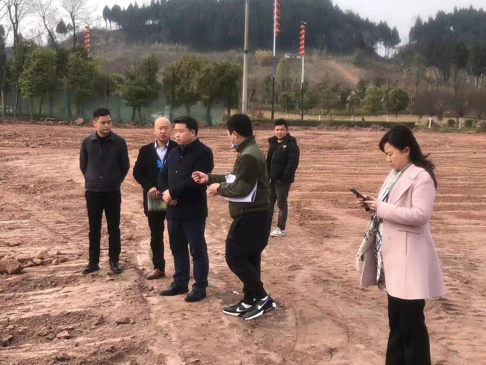 �h�I(l��ng)��(d��o)ҕ�첢ָ��(d��o)��̩��˾���c(di��n)�(xi��ng)Ŀ���O(sh��)����